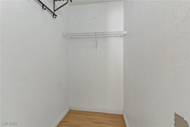 walk in closet with hardwood / wood-style flooring