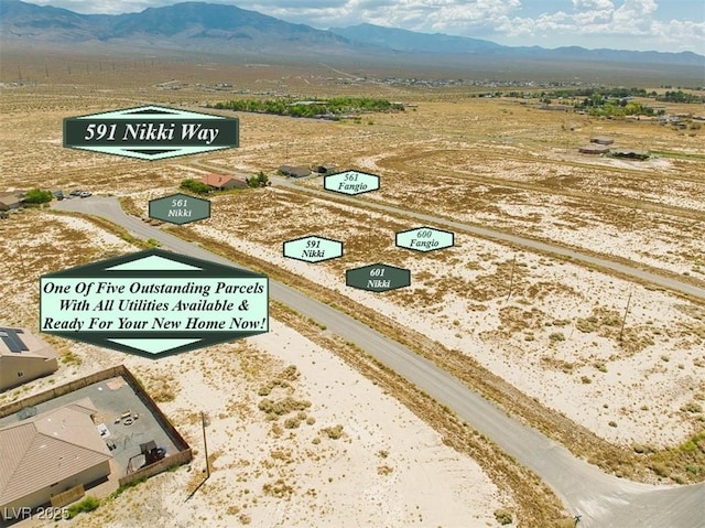 591 W Nikki Way, Pahrump NV, 89060 land for sale