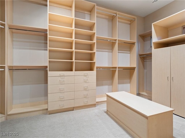 spacious closet with light colored carpet