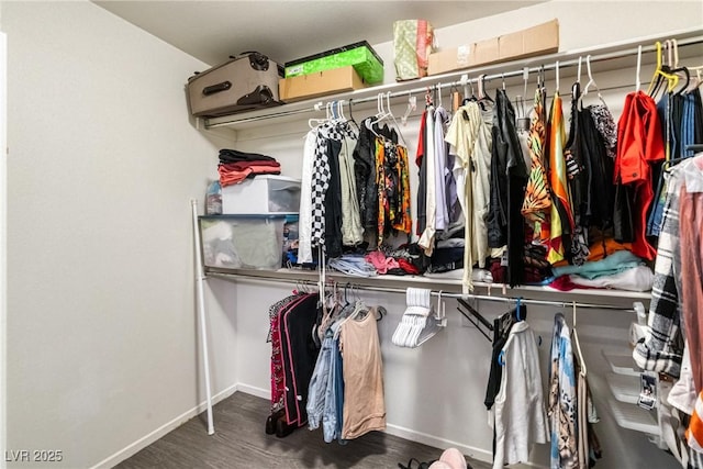 walk in closet with dark hardwood / wood-style flooring