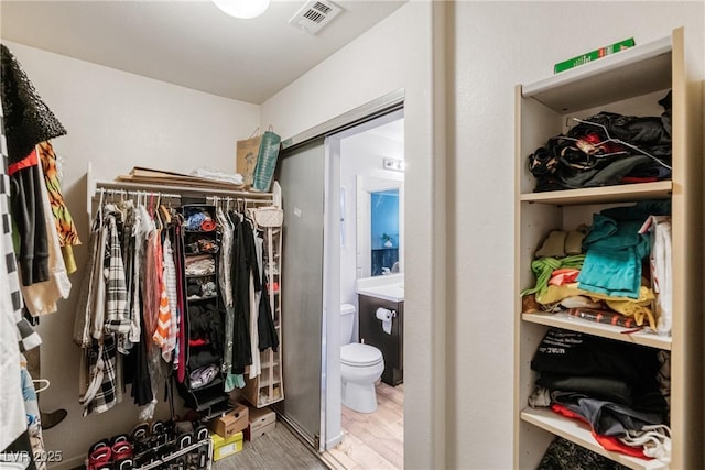 walk in closet with hardwood / wood-style floors