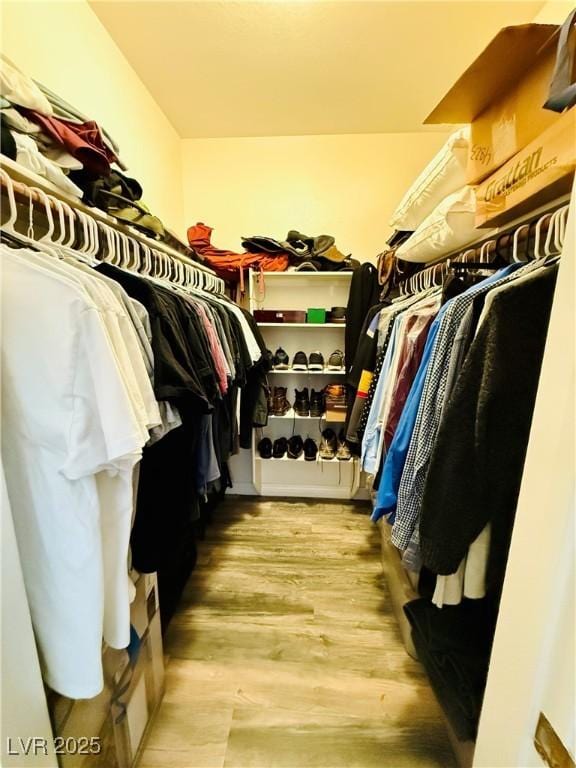 spacious closet featuring light wood-type flooring