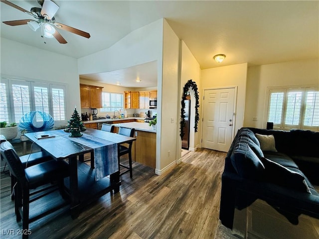 dining room featuring a wealth of natural light, dark wood-type flooring, and ceiling fan