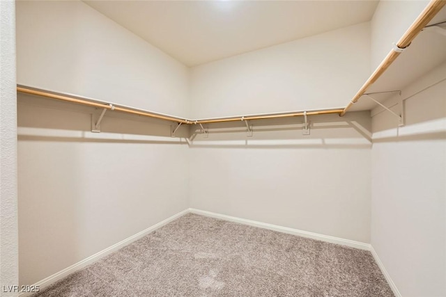 walk in closet with carpet floors