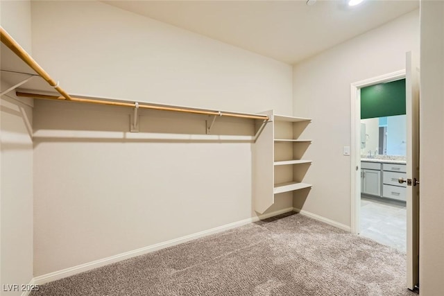 spacious closet with light colored carpet