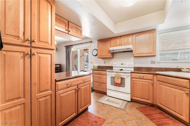 kitchen with a tray ceiling, sink, plenty of natural light, and white electric stove