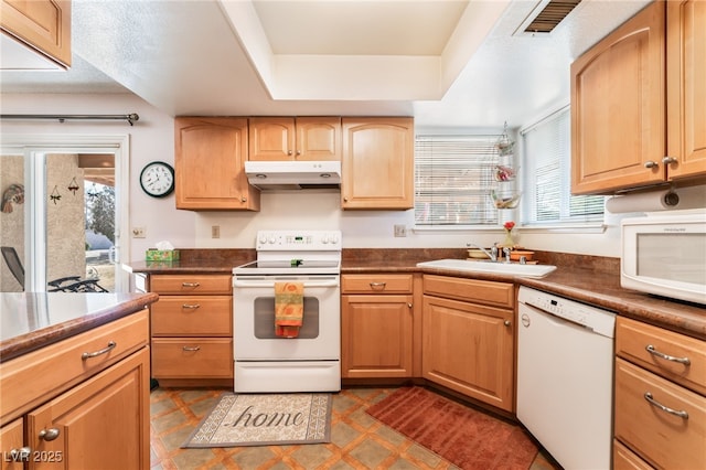 kitchen with a tray ceiling, sink, a healthy amount of sunlight, and white appliances