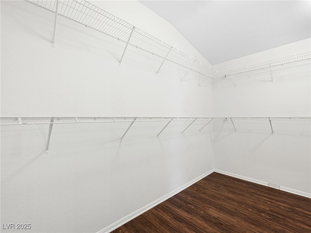 spacious closet featuring lofted ceiling and dark wood-type flooring