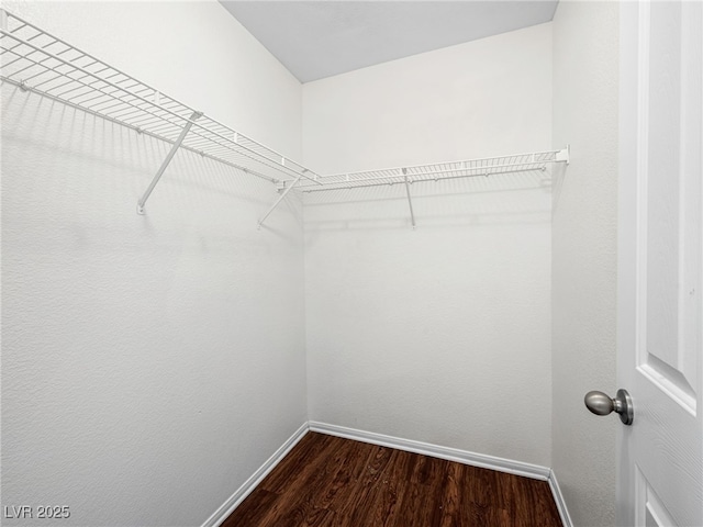 spacious closet with dark wood-type flooring