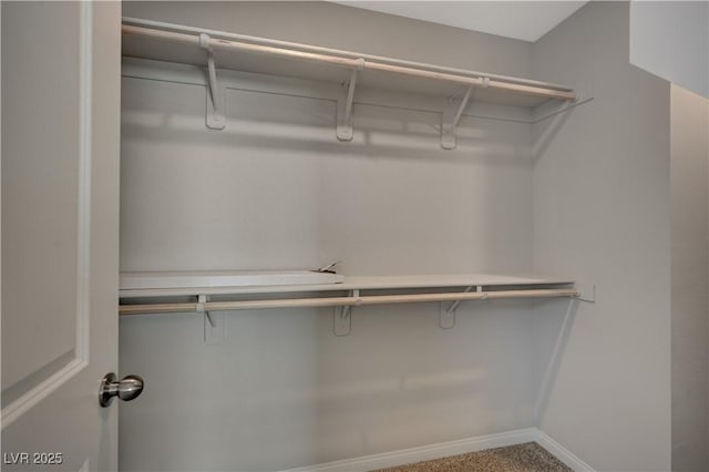 view of walk in closet