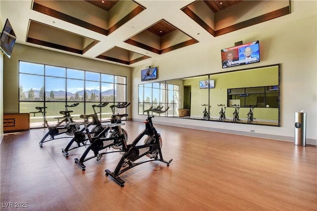 exercise room featuring hardwood / wood-style flooring, a towering ceiling, and coffered ceiling