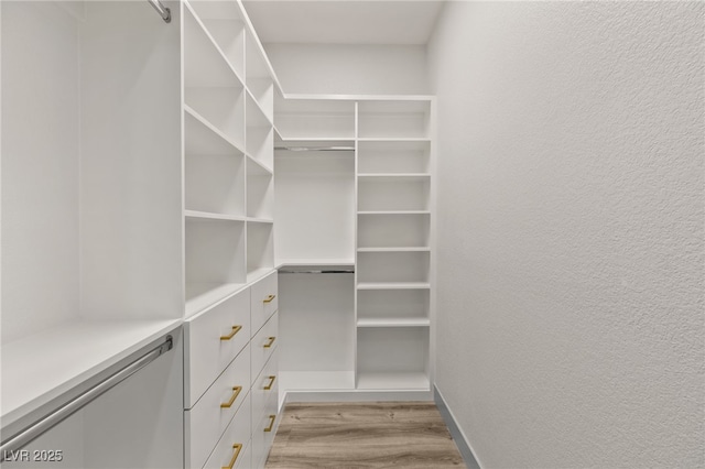 walk in closet featuring light hardwood / wood-style floors