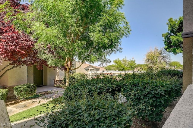 1701 King James St Unit 101, Las Vegas, NV 89144 - view of yard