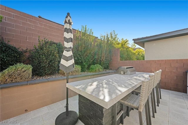 view of patio with an outdoor bar and exterior kitchen