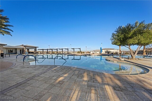 view of pool with a patio area