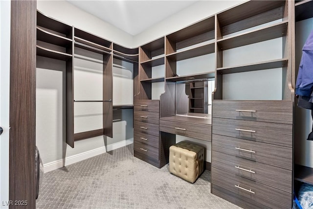 spacious closet featuring carpet flooring