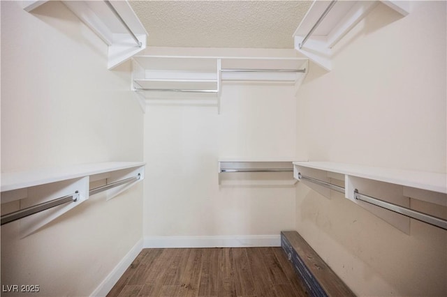 spacious closet featuring dark hardwood / wood-style floors