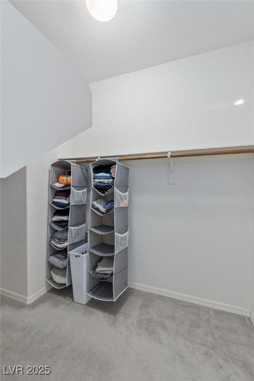 walk in closet with carpet flooring