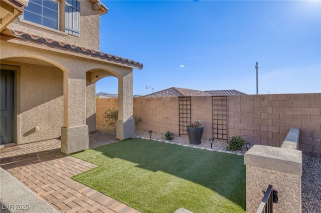 view of yard featuring a patio