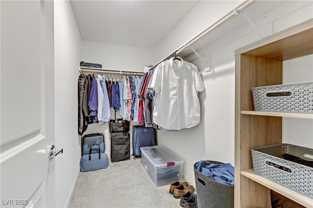 walk in closet featuring carpet flooring