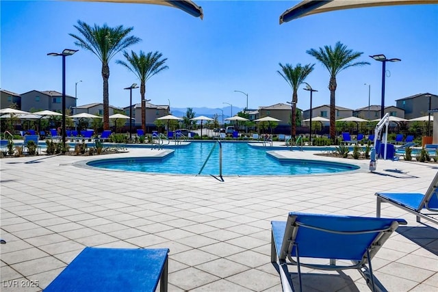 view of pool featuring a patio