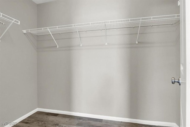 spacious closet featuring dark wood-type flooring