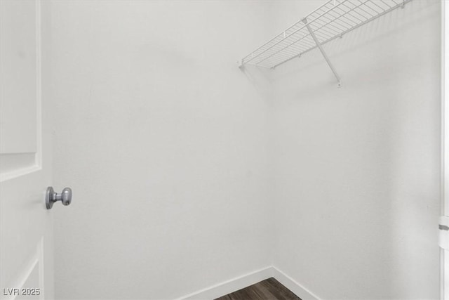 walk in closet with dark wood finished floors