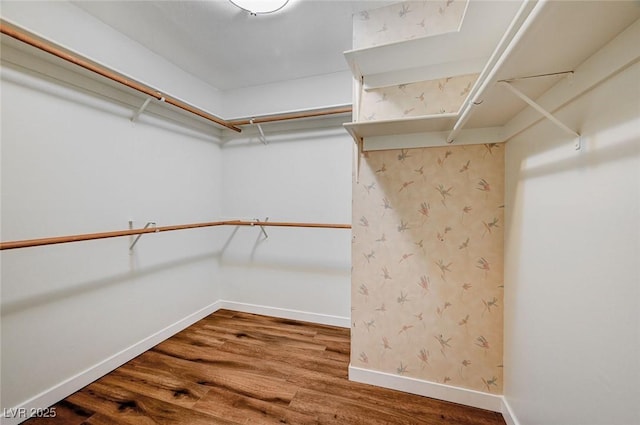 walk in closet with wood-type flooring