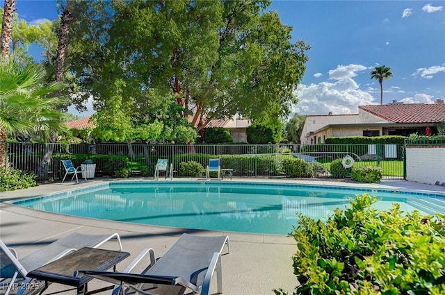 view of swimming pool