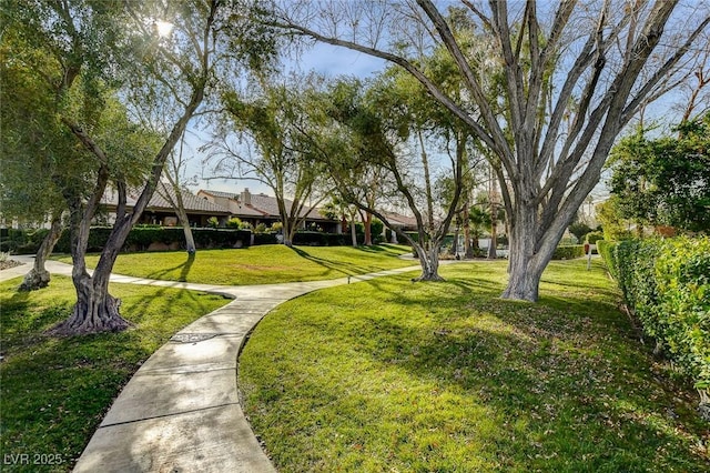 view of home's community featuring a lawn