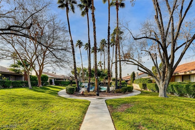 view of community with a lawn