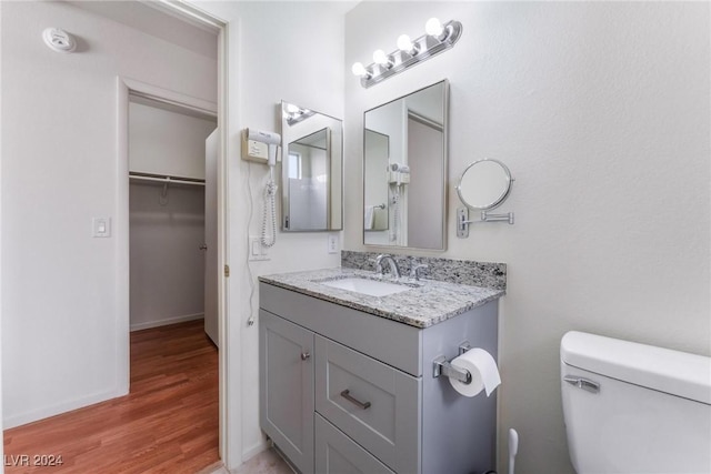 bathroom with vanity, toilet, and wood-type flooring