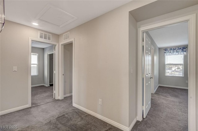 hallway with carpet and a wealth of natural light