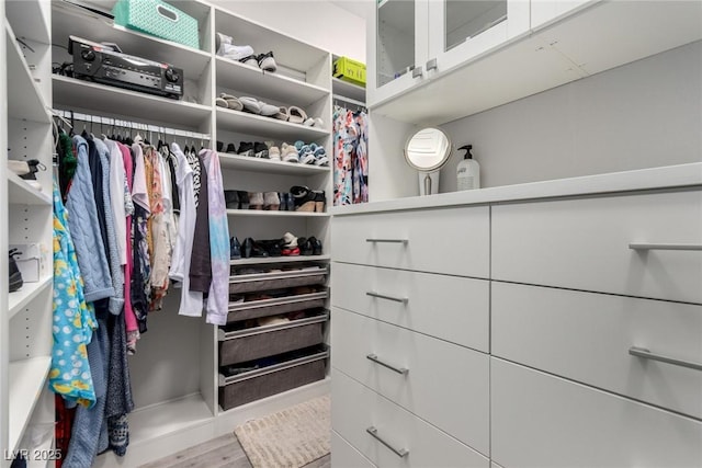 spacious closet with light wood-type flooring