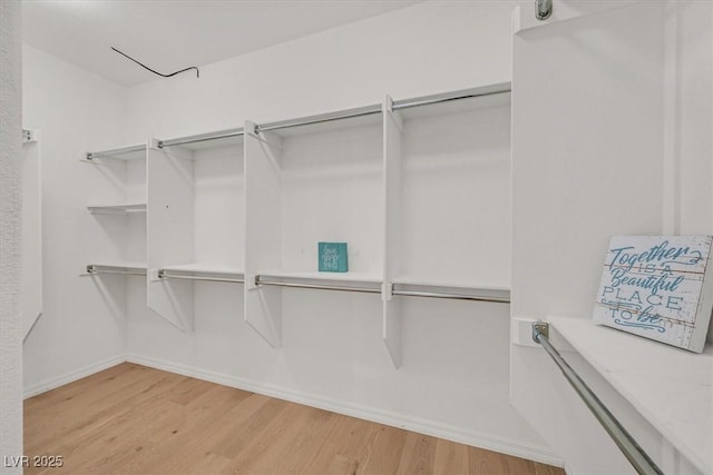 spacious closet featuring light wood-type flooring