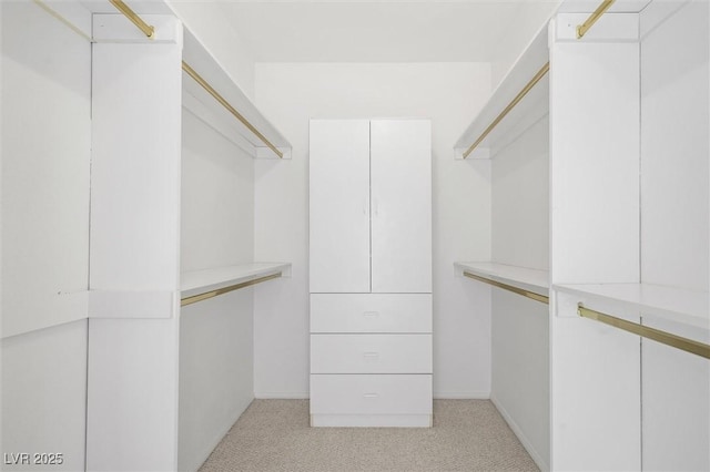 spacious closet with light colored carpet