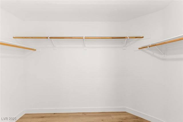 spacious closet featuring wood-type flooring