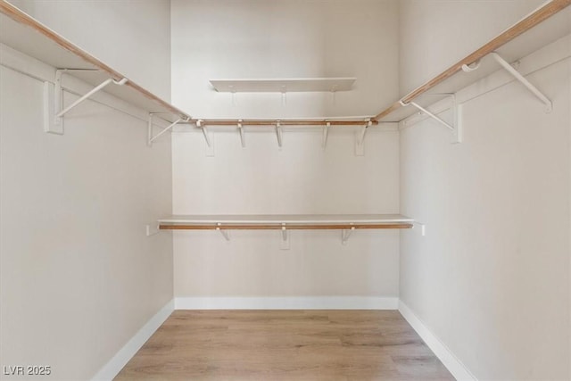 spacious closet with light hardwood / wood-style floors