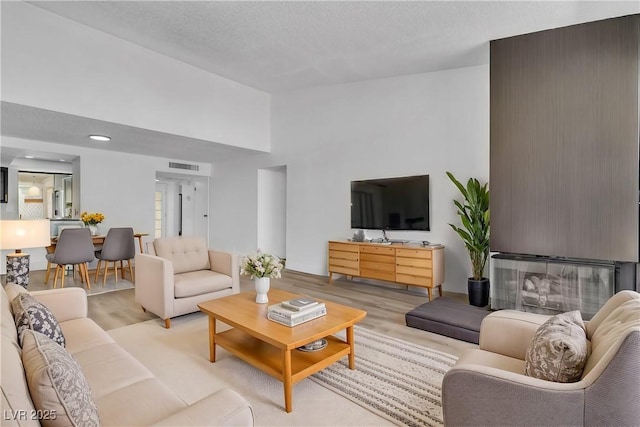 living room featuring light hardwood / wood-style floors