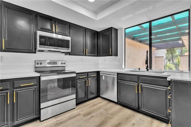 kitchen featuring sink, stainless steel appliances, and light hardwood / wood-style flooring