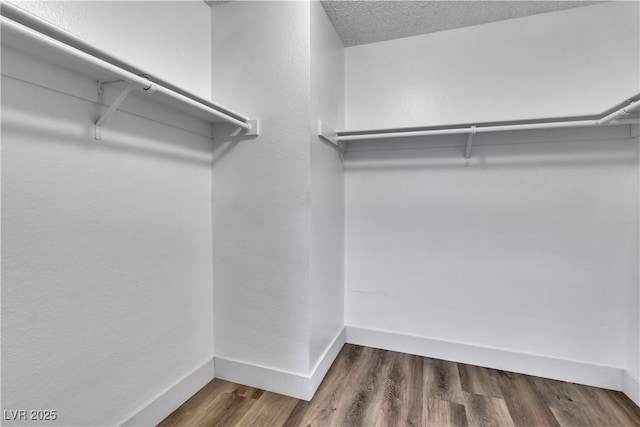 walk in closet with dark wood-type flooring