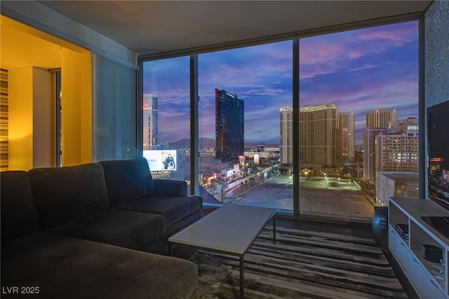 living room featuring expansive windows and a healthy amount of sunlight