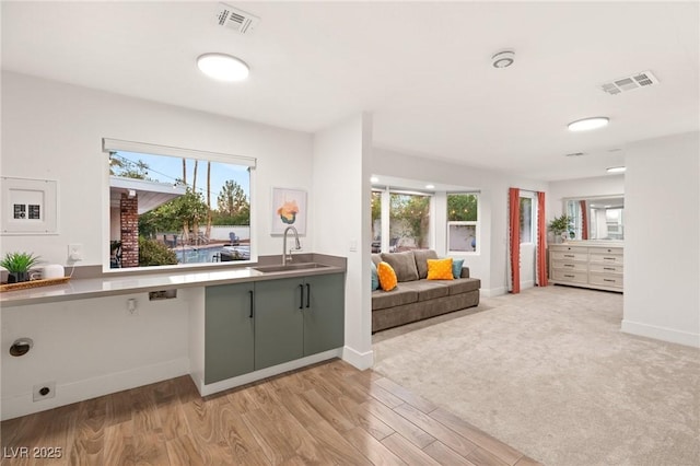 kitchen featuring sink and light hardwood / wood-style floors