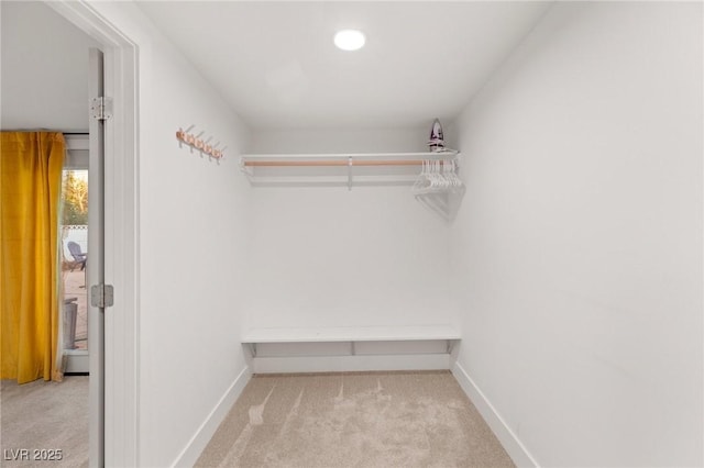 spacious closet with light carpet