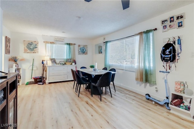 dining room with light hardwood / wood-style flooring, a healthy amount of sunlight, and a textured ceiling