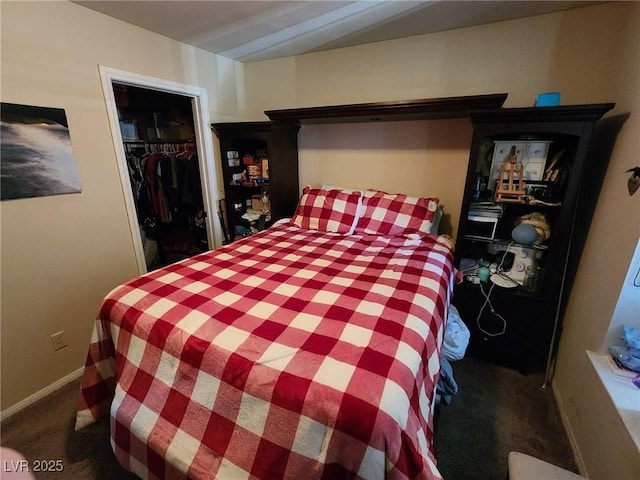 bedroom featuring a spacious closet, a closet, and dark colored carpet