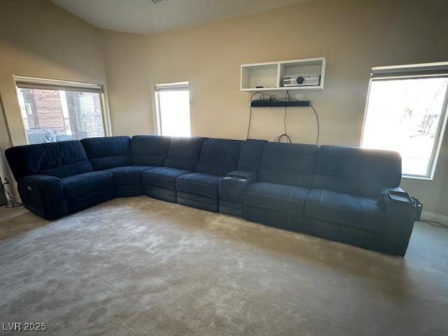 carpeted living room with plenty of natural light