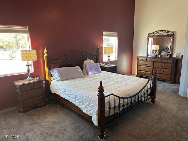 bedroom featuring carpet and a high ceiling