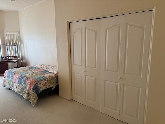 carpeted bedroom featuring a closet