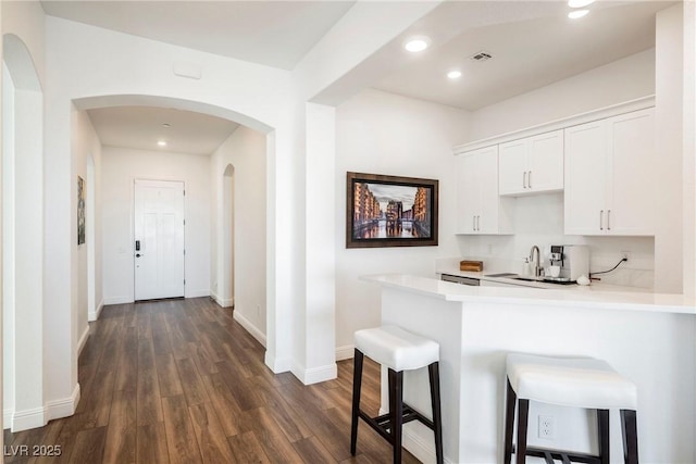 interior space featuring sink and dark hardwood / wood-style floors